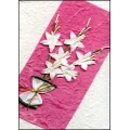 White Flowers on Pink
