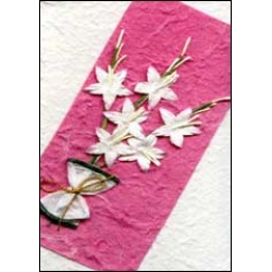 White Flowers on Pink