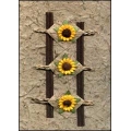 Three Sunflowers