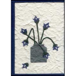 Blue Flowers in Pot