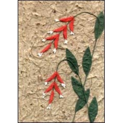 Red Drooping Flowers