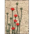 Red Wildflowers