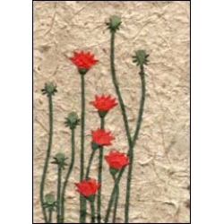 Red Wildflowers