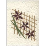 Three Flowers