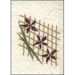 Three Flowers