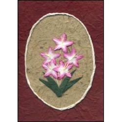 Pink Flowers