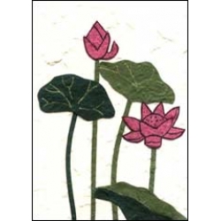 Lotus Plant