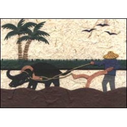 Plowing the Field