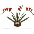 Flowers in Pot