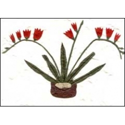 Flowers in Pot