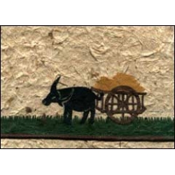 Water Buffalo Cart