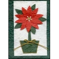 Christmas Flower in a Pot