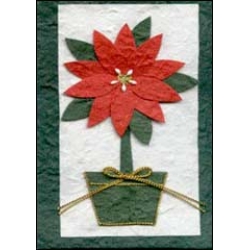Christmas Flower in a Pot