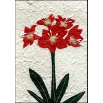 Red Christmas Flower